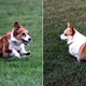 Image for article titled You're Using Neural Networks Every Day Online—Here's How They Work